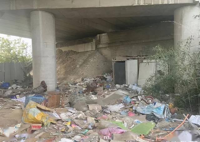 985大学毕业生杀人后逃亡流浪天桥20年上演荒野求生