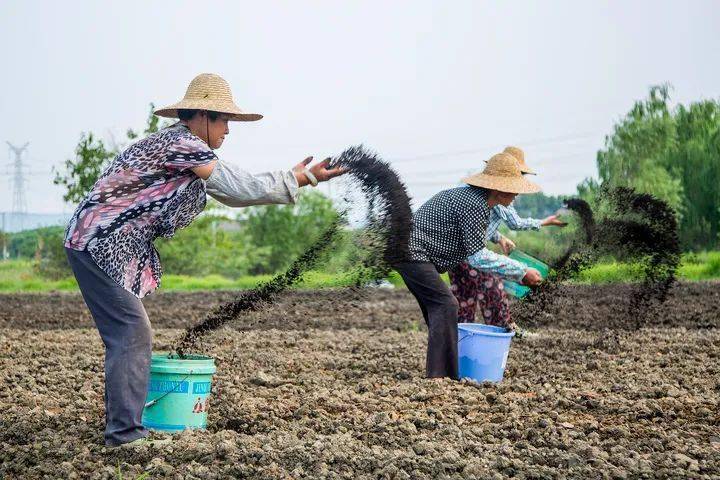 農業農村部有機肥年施用超55億畝未來還要加大推廣力度