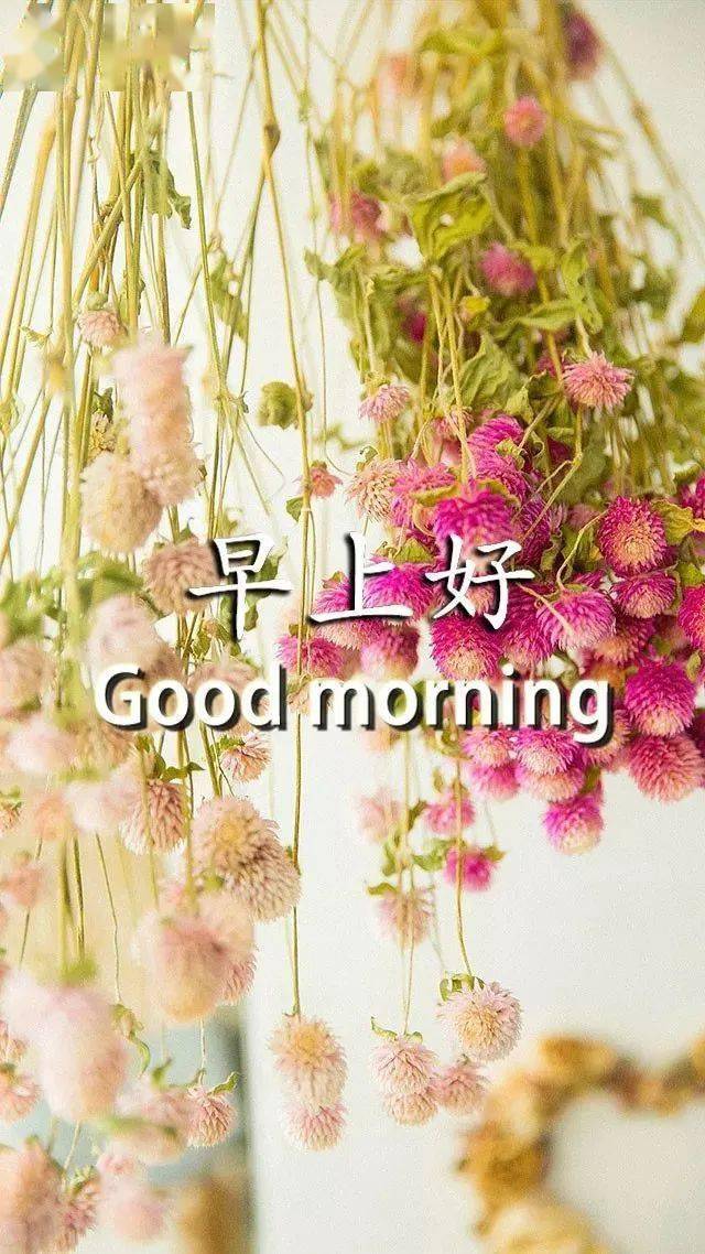 冬季清晨问候大家早上好的漂亮图片带字很好看的早上好温馨祝福语录