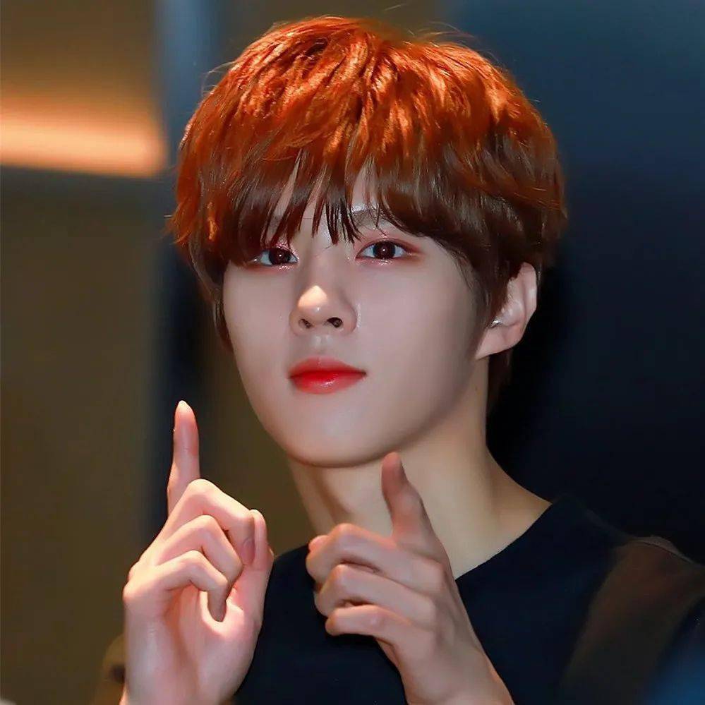 微信头像金宇硕