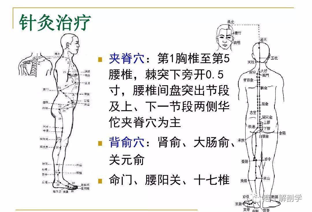 腰椎间盘突出症的针灸治疗