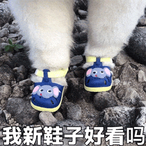 抖音热门表情精选_暖暖