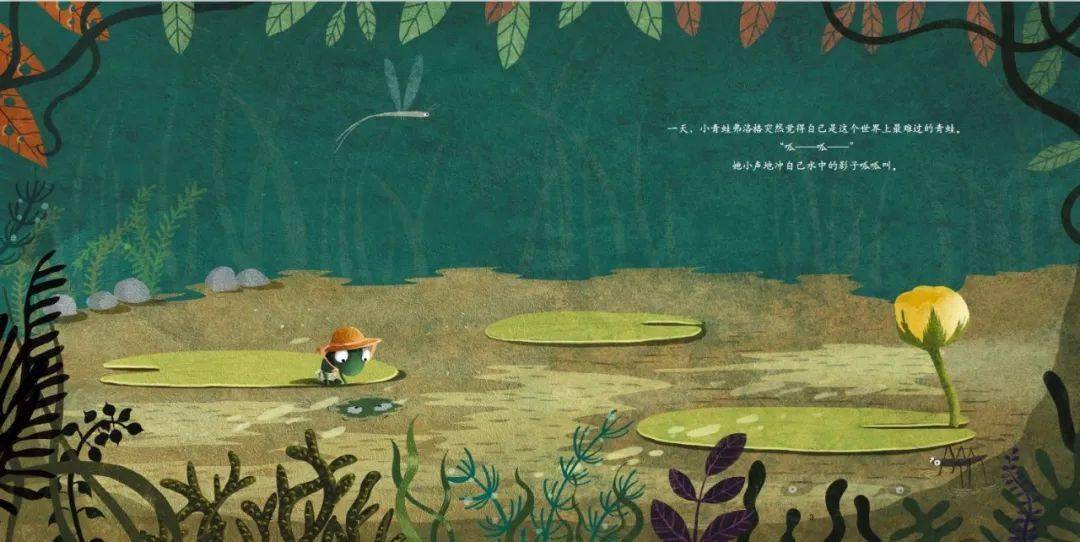 读绘本 听故事 | 芳草绘本推荐——《弗洛格的微笑》