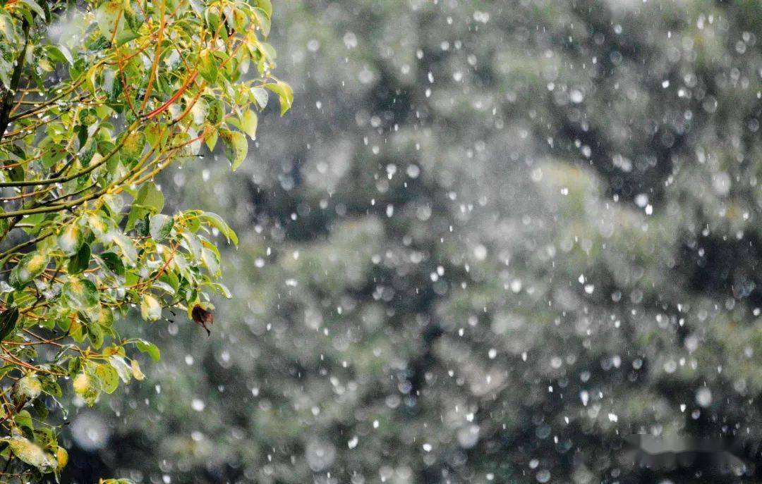 关于春天雨夹雪的图片图片