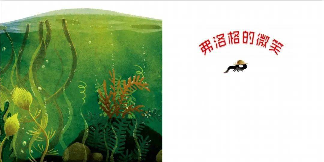 读绘本 听故事 | 芳草绘本推荐——《弗洛格的微笑》