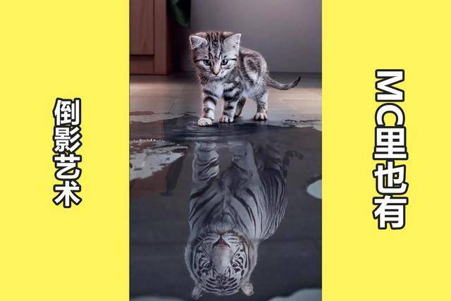 小猫变老虎水中倒影图片