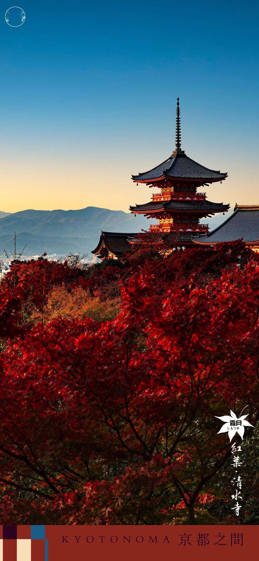 京都一周11161122