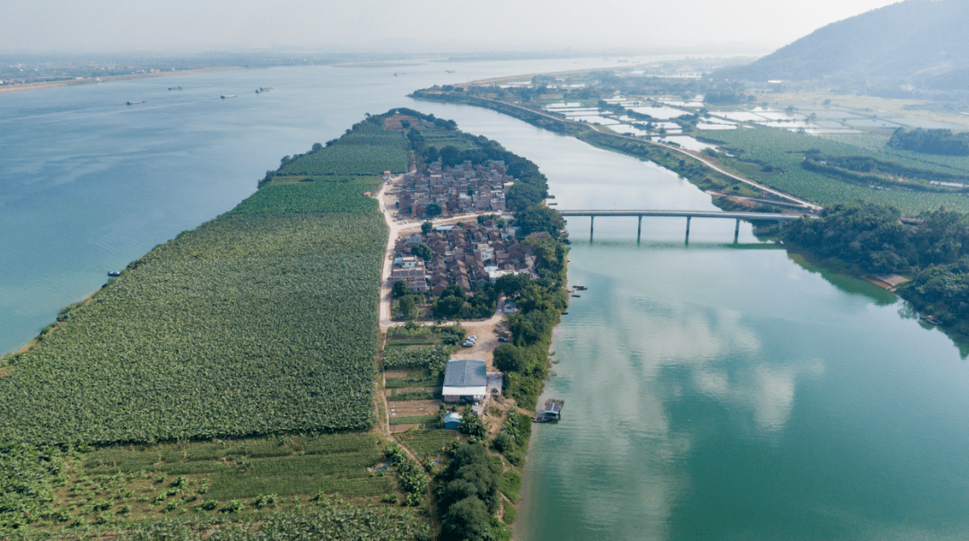 项目选址鼎湖区沙浦镇黄布沙岛,沙洲岛全岛域约一千多亩