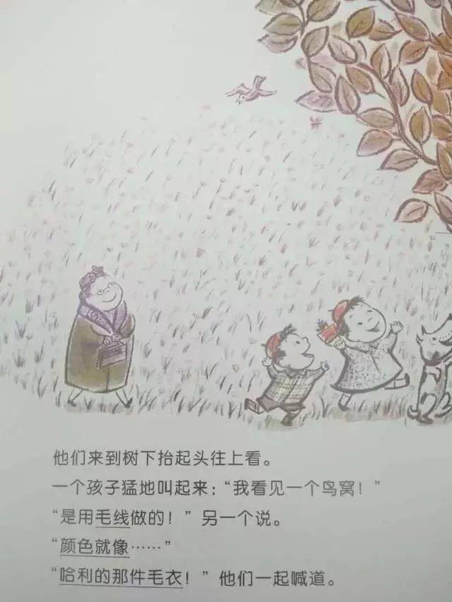 哈利的花毛衣绘本教案图片