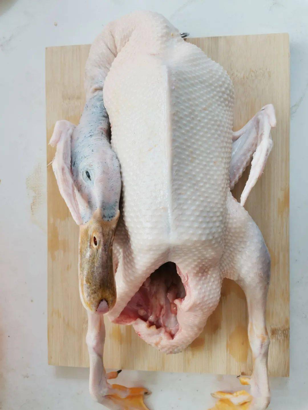 仅需58元只怀集山塘玉米鸭肉质结实清甜很有嚼劲