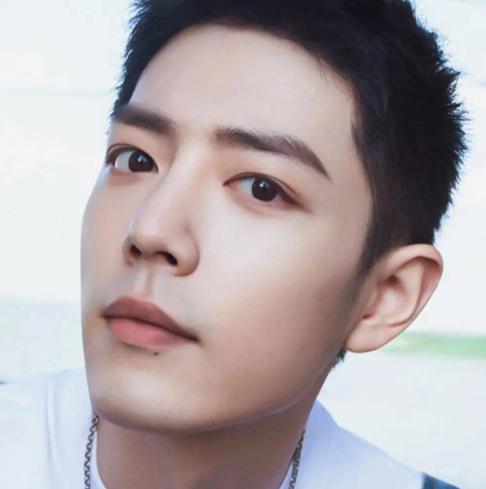 【微信头像】肖战