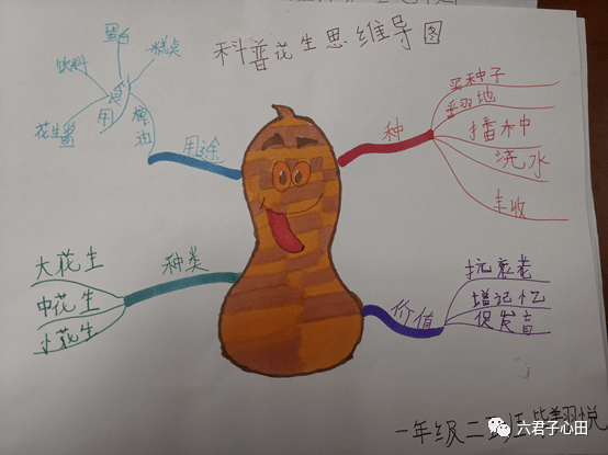 打开五感,观察花生随后孩子们制作了五感观察的思维导图,并将自己新的