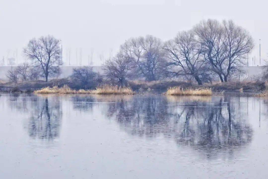 今日烟雨满城,写给新区的一封情书.