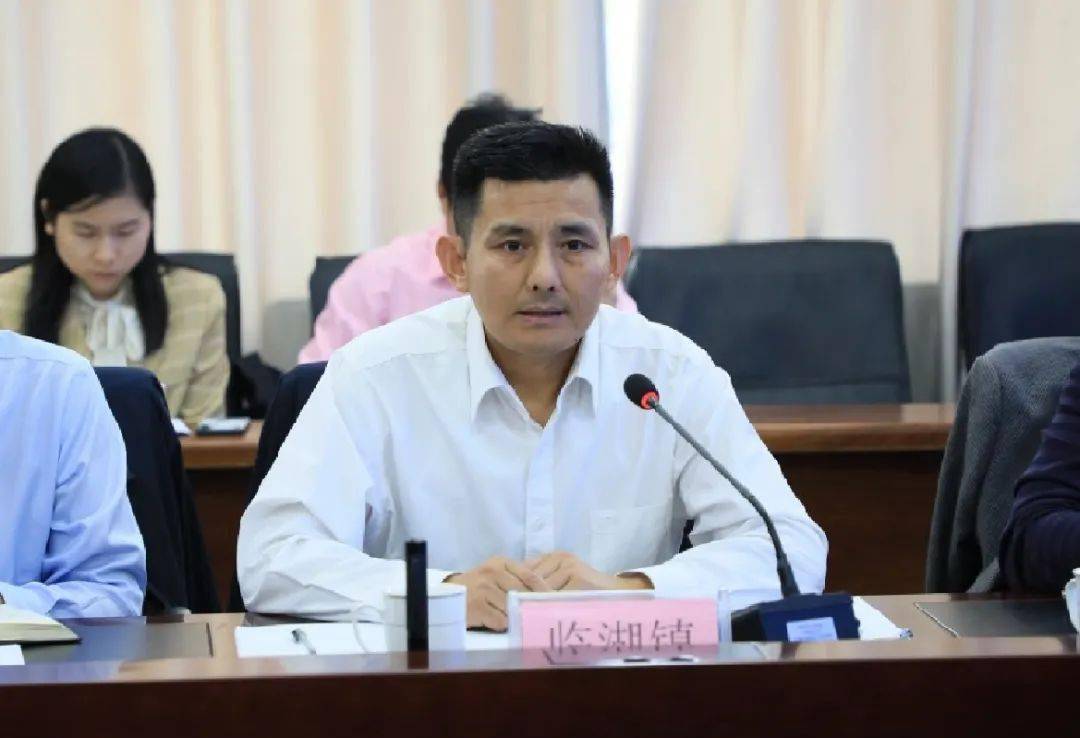 区领导王卫国调研临湖镇农业农村现代化市级示范镇创建工作