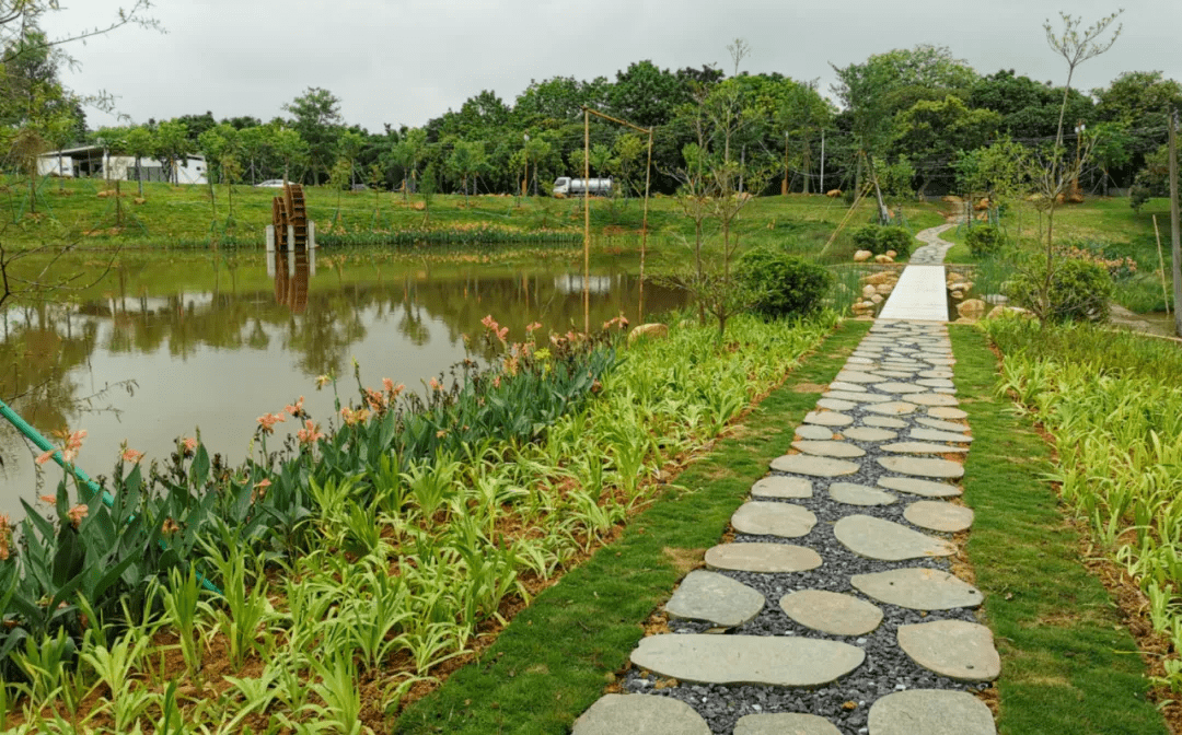 崭新的亲水栈道,串联起迳下村2公里岭南水乡最美风景线,构成一幅恬静