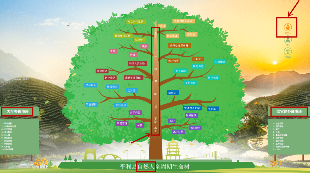 平利县政务服务导办系统全周期生命树上线