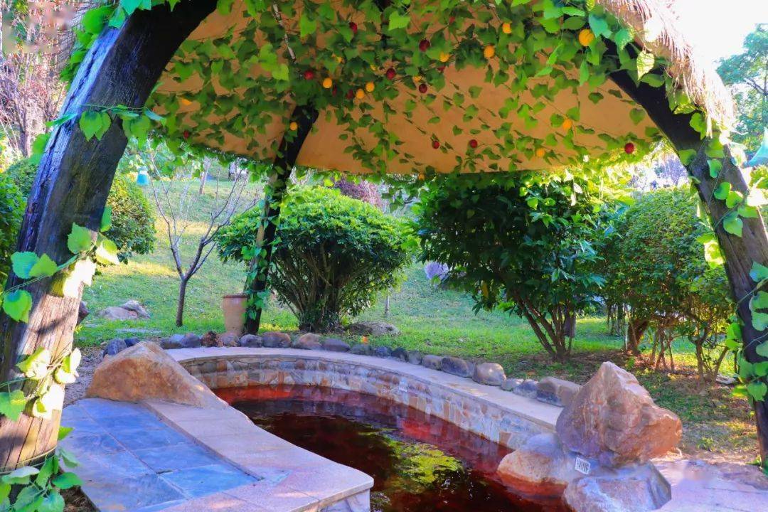 温泉和峡谷温泉特色于一体广东首个大型火山主题温泉森波拉火山温泉