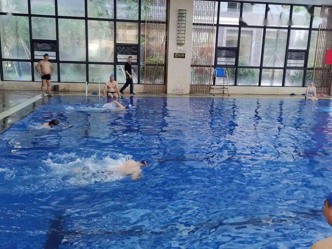 奋"泳"争先,"泳"往直前_游泳