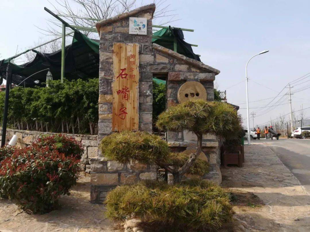 枣庄市2020年度十佳宜居乡村之石嘴子村翼云湖畔多产融合