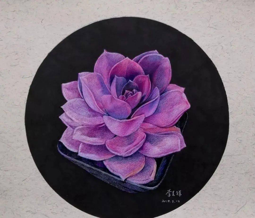 彩铅教程紫色多肉的详细示范解析