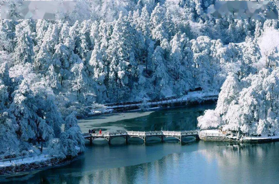 雪凇,雨凇点染整座山这是庐山酝酿这至美冬天的源头白居易眷恋之地