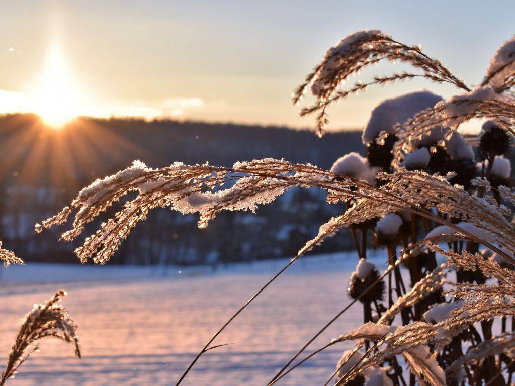 秋去冬来,莫负岁月静好(美文)_spwy
