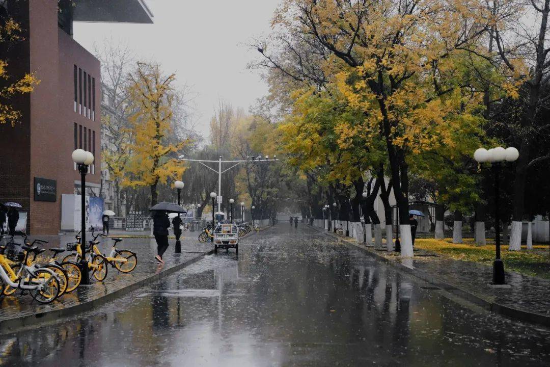 秋天与冬天的相逢北工大冬天的第一场雨来了