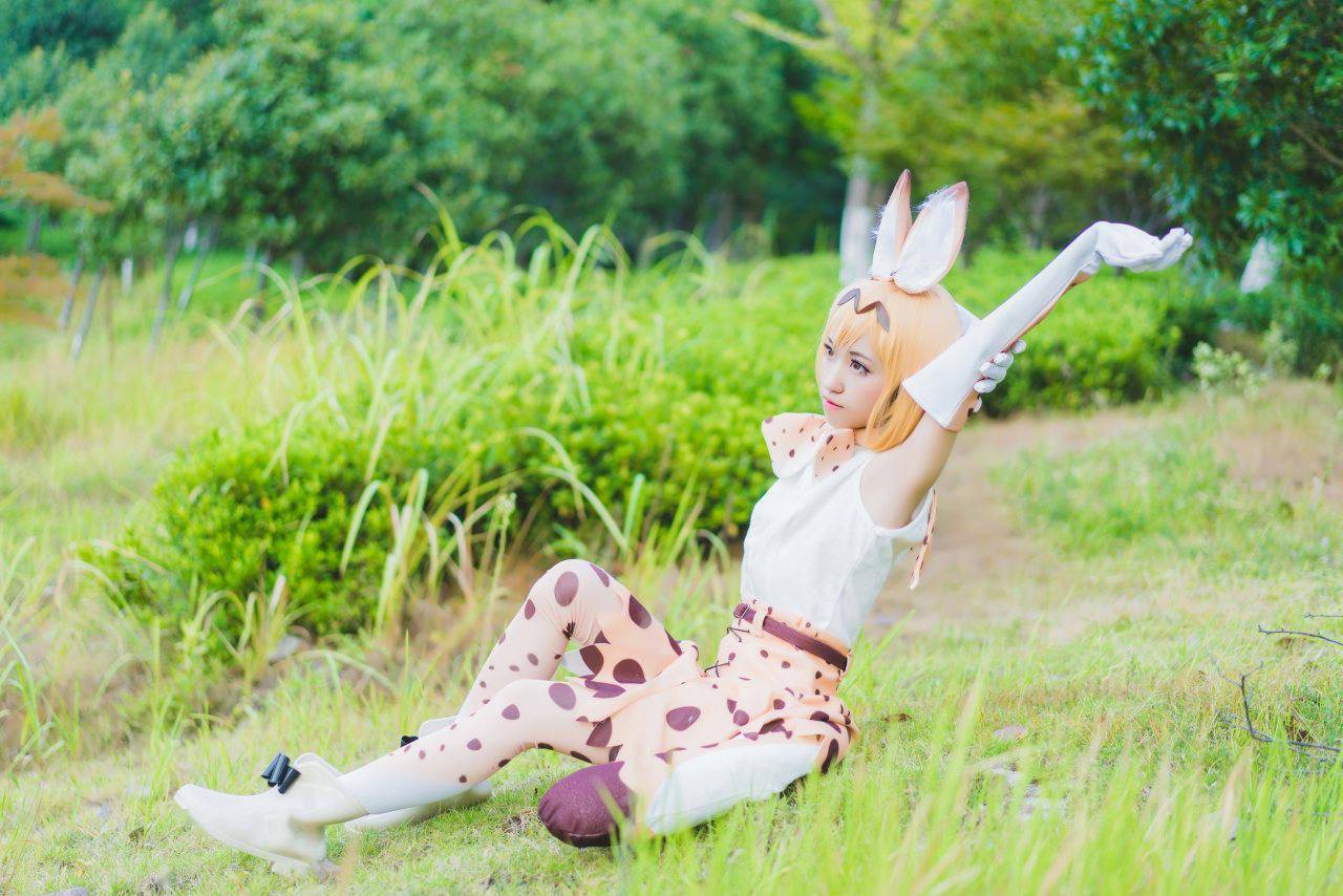 兽娘动物园薮猫cosplay
