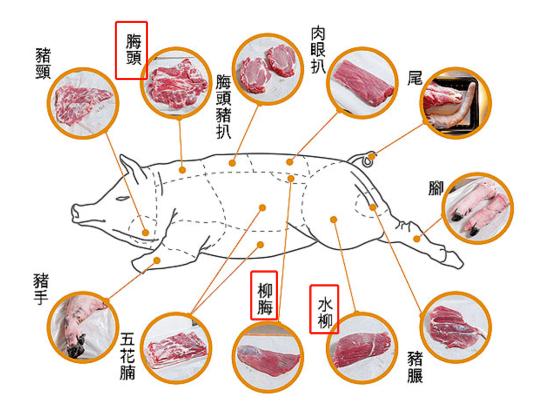 猪肉分部图解图片