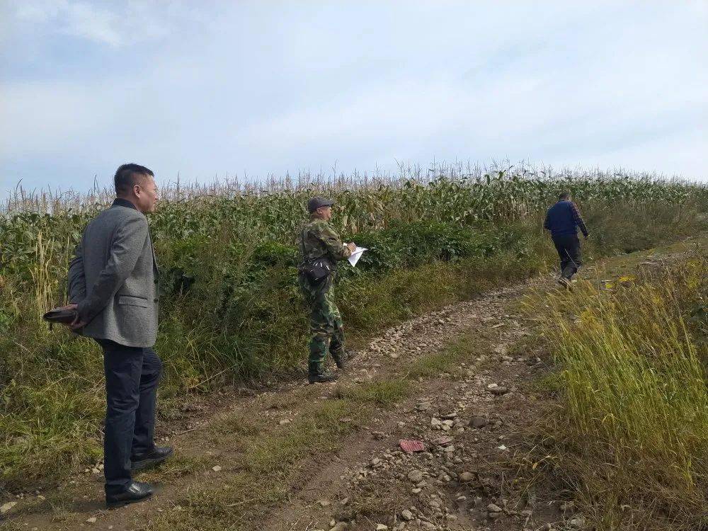 撫松縣松江河鎮落實惠民舉措確保生產者補貼精準發放到位