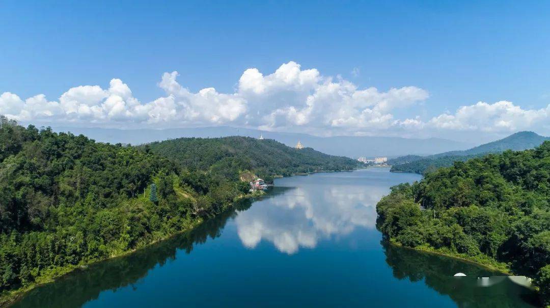 瞬间变成一幅水墨画朝阳微光惊醒成群白鹭晨雾中的孔雀湖,山与水若隐