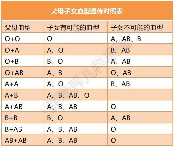 o型血夫妻