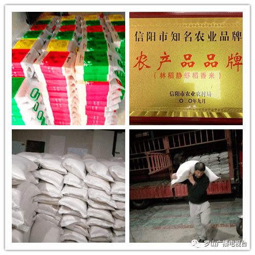 罗山县庙仙乡虾稻新米飘香上市