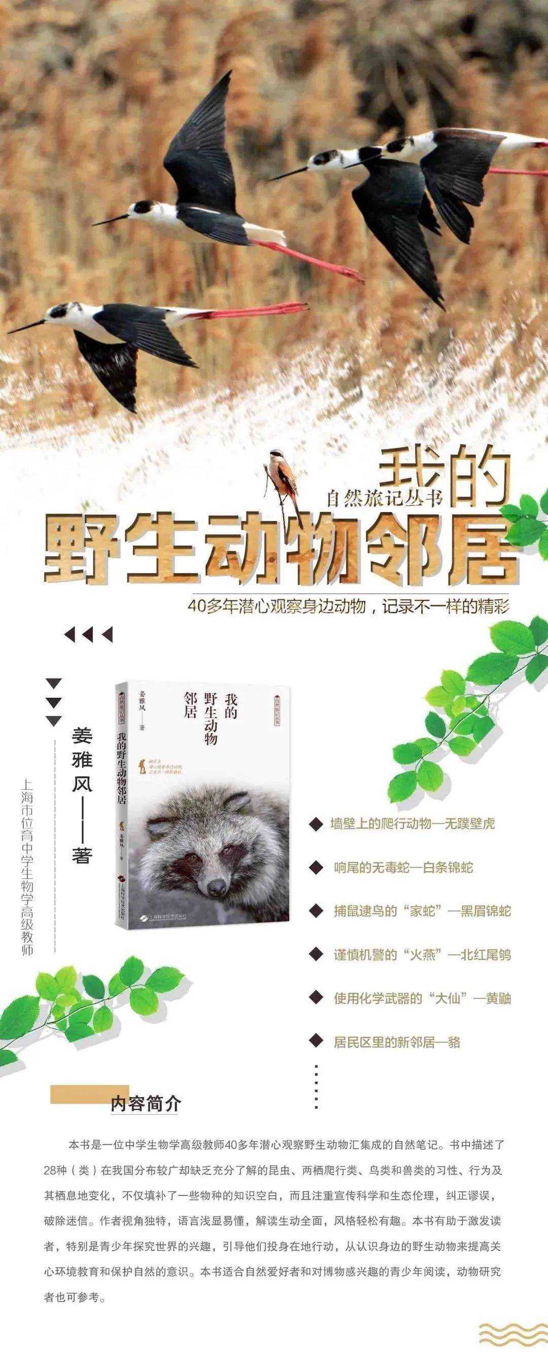 阅读的力量我的野生动物邻居关爱生命保护地球