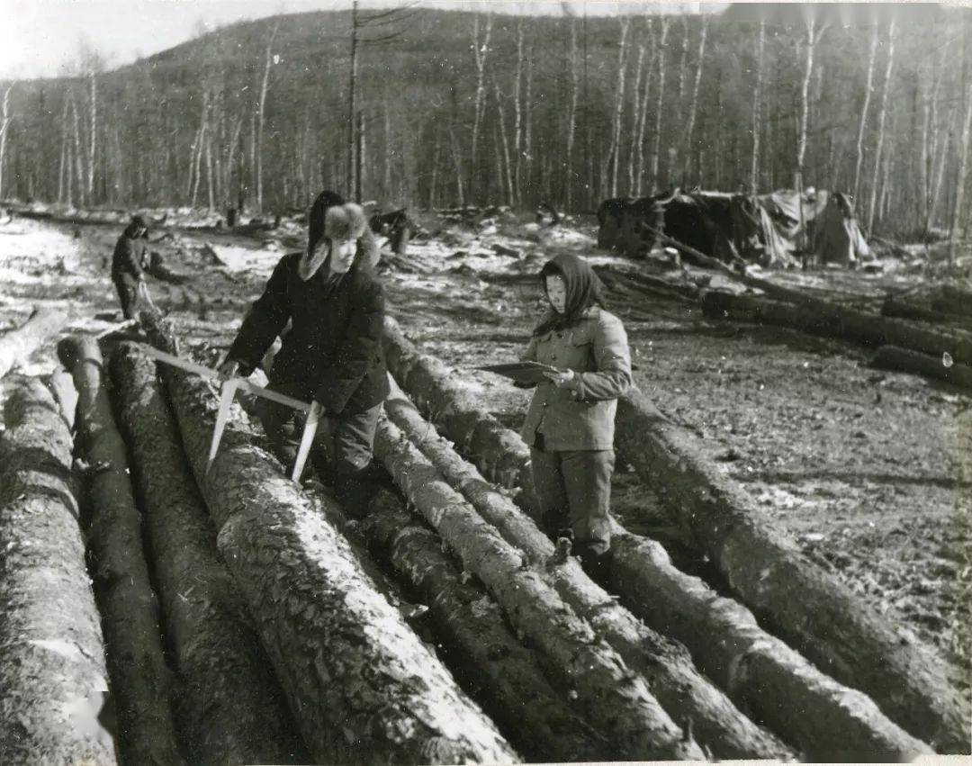 第一代林业工人