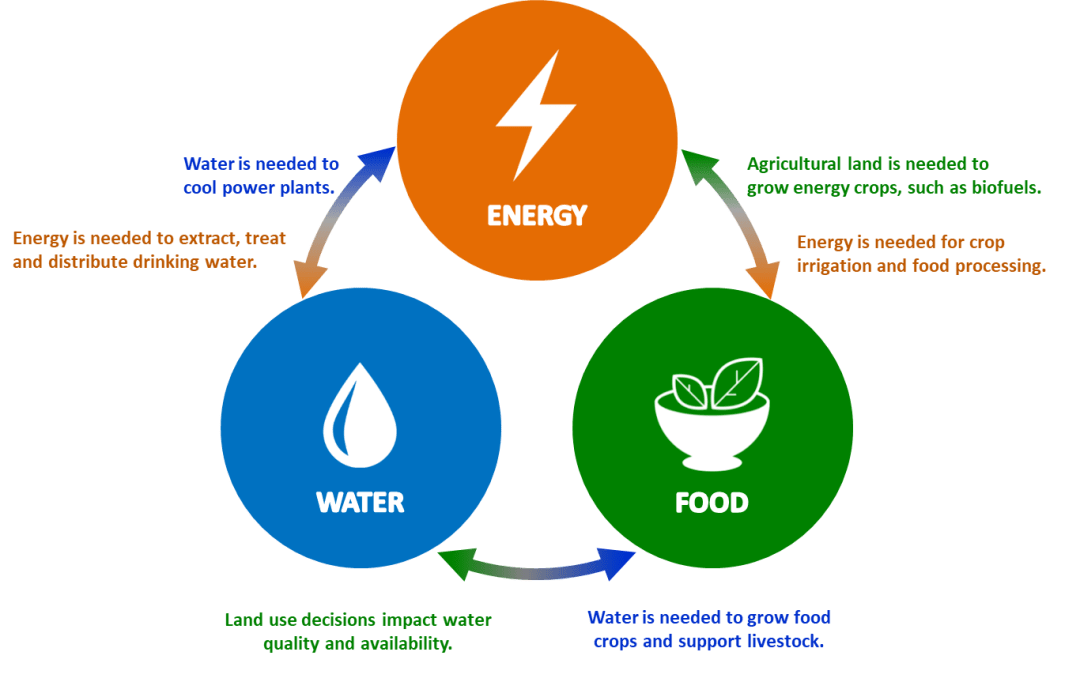 圖片來源:clean energy solutions center在全球人類活動對地球自然