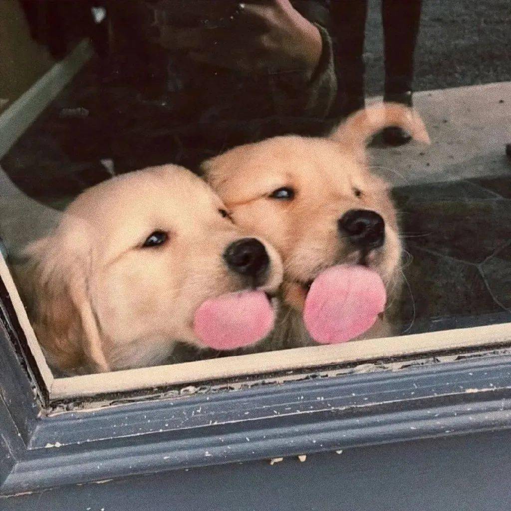 朋友圈背景图丨总是期待明天