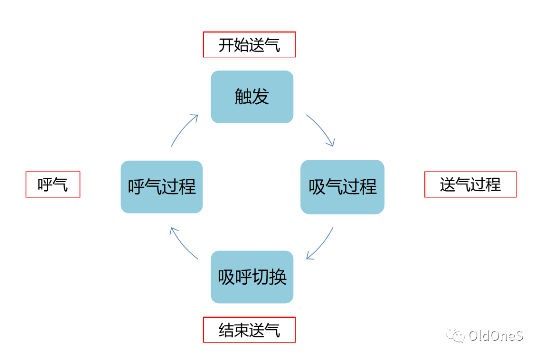 机械通气的过程cprv :心肺复苏通气模式amv :自适应分钟通气量模式