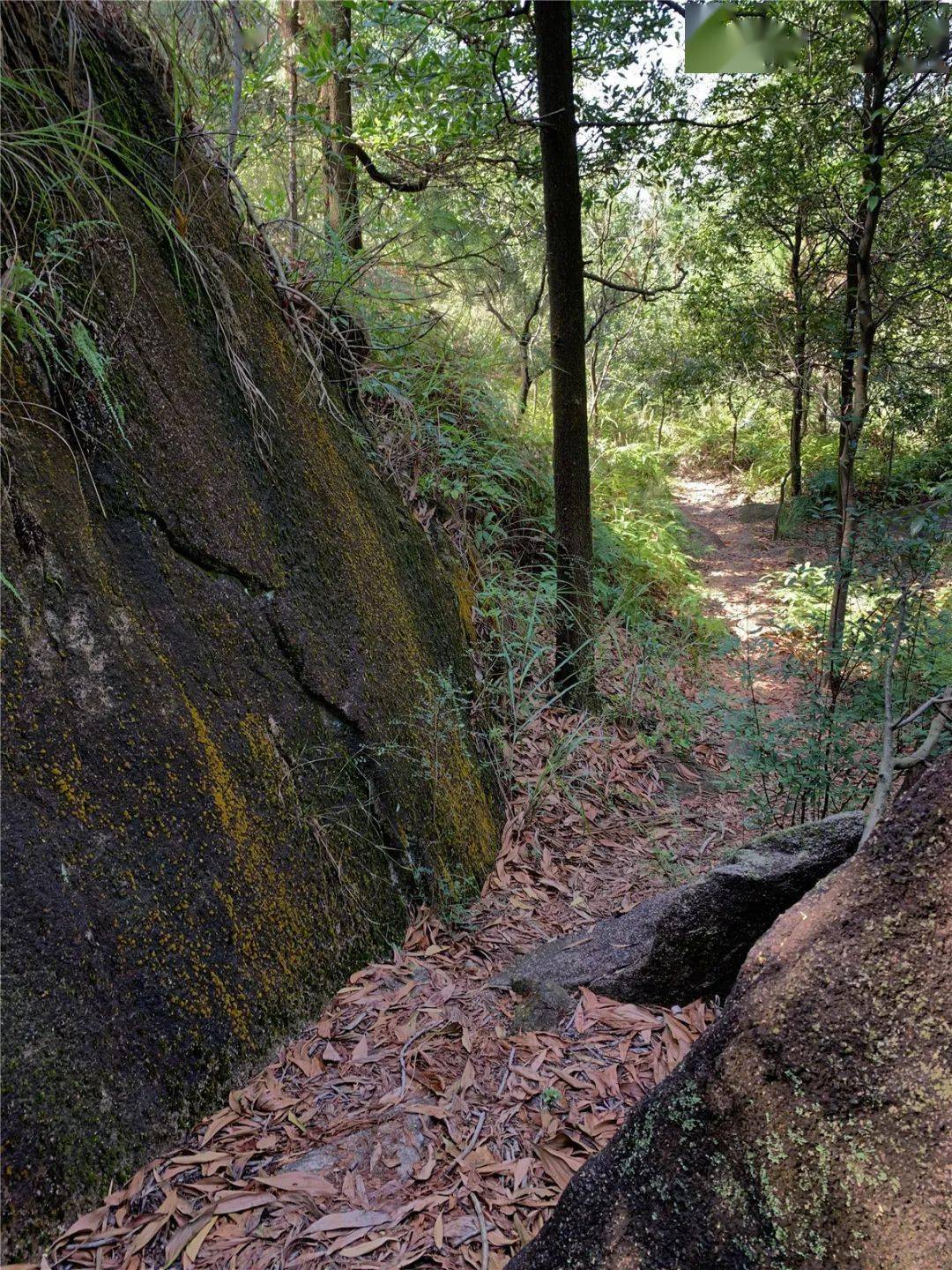 中山金钟水库徒步路线图片