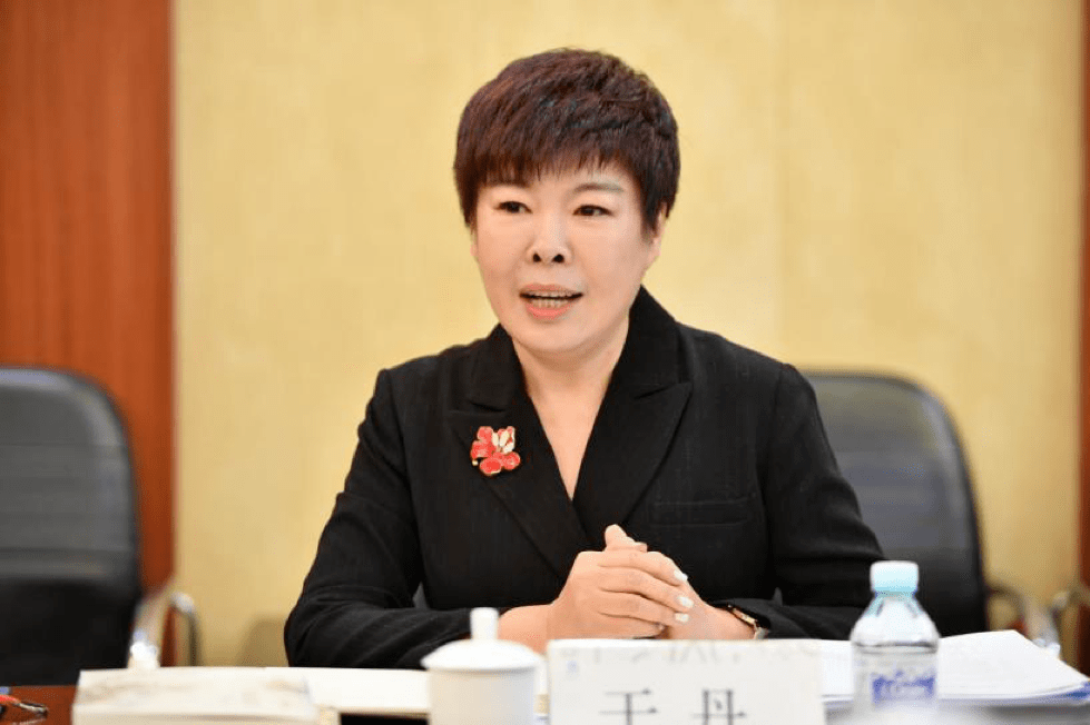 于丹院长做首都文创院工作汇报二理事长陈丽副校长代表北京师范大学