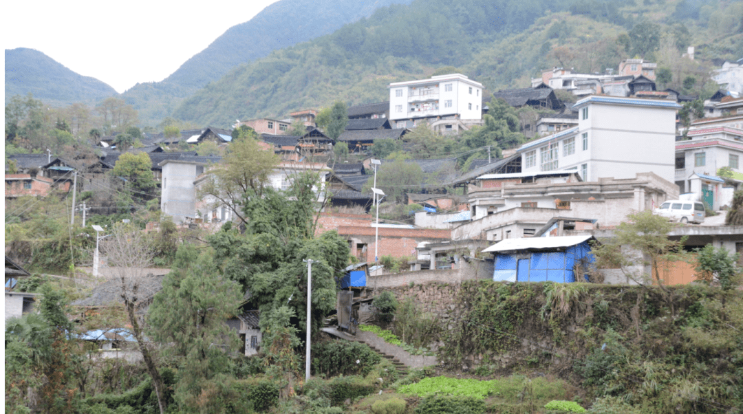 扶贫路上暖人心丨黄平县重安镇半山村脱贫攻坚副队长黄山_项目