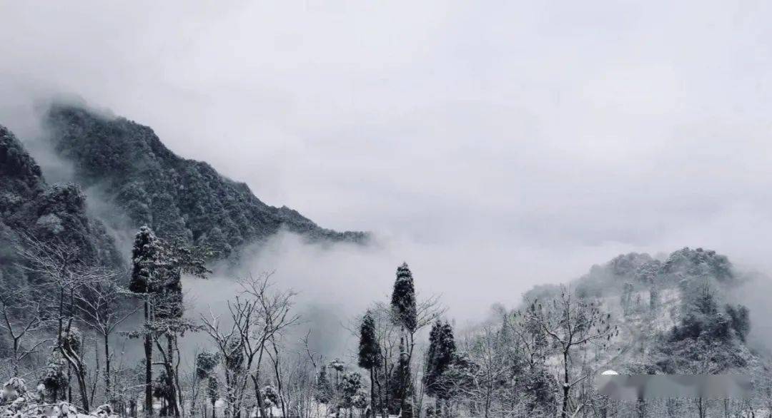 青城初雪如约而至,这个离成都最近的赏雪地等你来打卡~