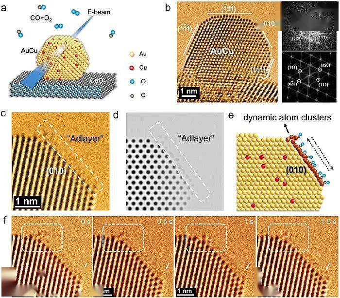 原位環境電鏡解析反應氣體作用下的金屬表面原子動態