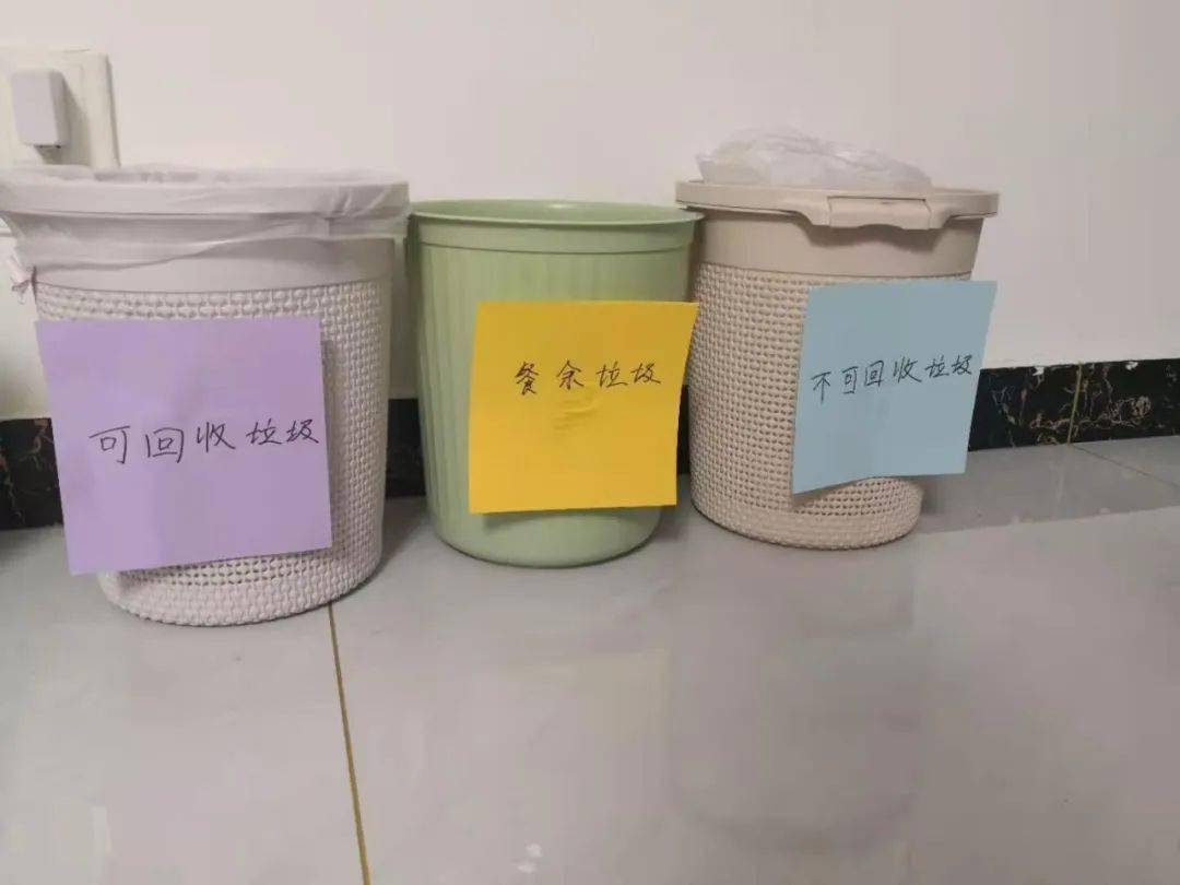 队活动大手拉小手垃圾分类减量济南市小辛庄小学11小豆包纪实