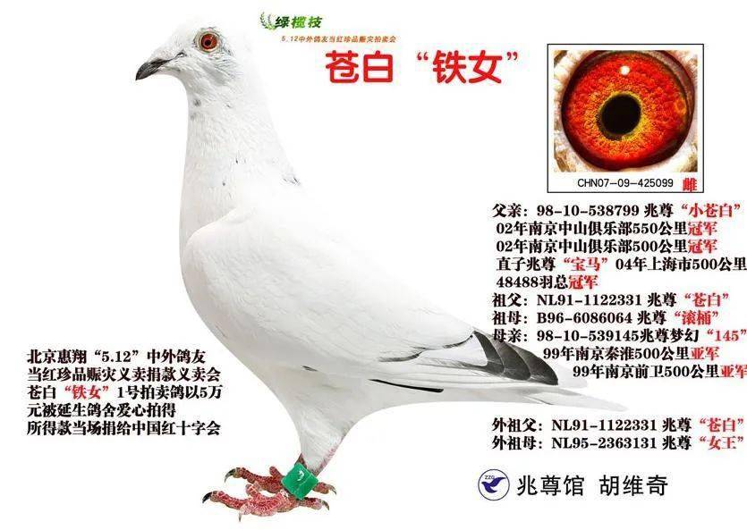 胡维奇因病去世,看看他一手缔造的苍白传奇!_兆尊