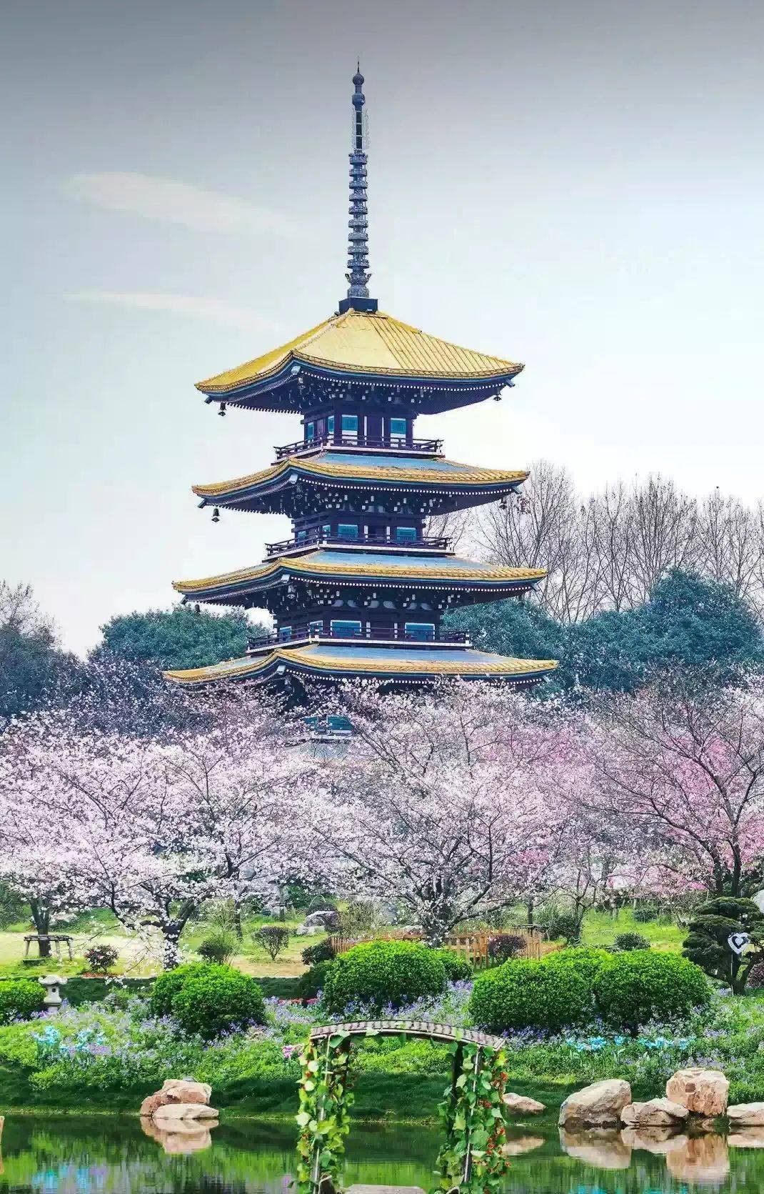 爱上武汉不想走布衣羊的声像第772期柳棣朗诵