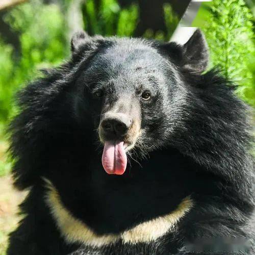 趣味国学馆67藏在四大名著里的趣味问题