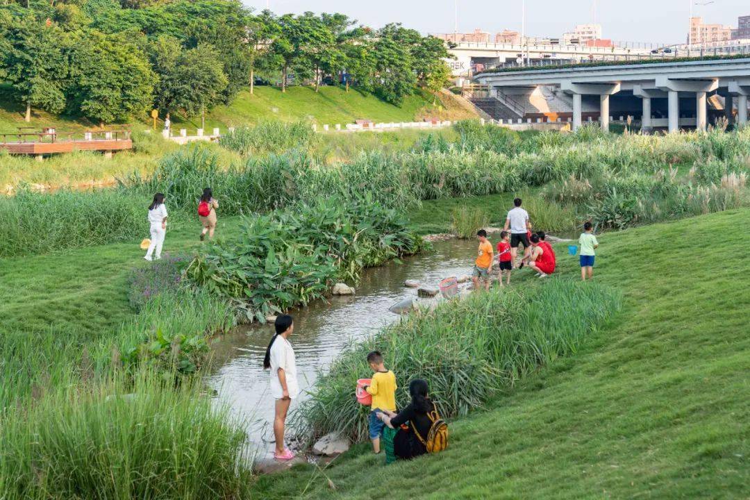 ar精选重塑河道生命系统深圳茅洲河碧道光明段生态修复试点eadg