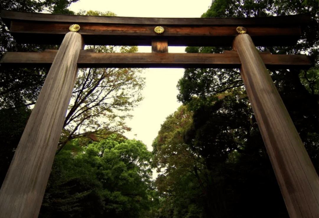 你去过几个呢日本东京9座代表性的特殊鸟居推荐