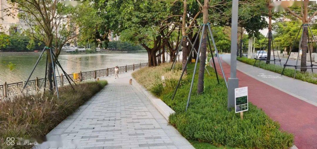 石碣五个镇街,东至广深铁路,西至环城西路,北至东南支流,南至东莞水道